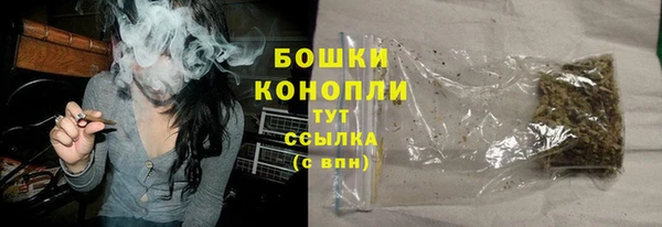 крисы Калач