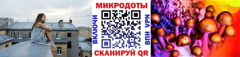 Галлюциногенные грибы мухоморы  Калтан 